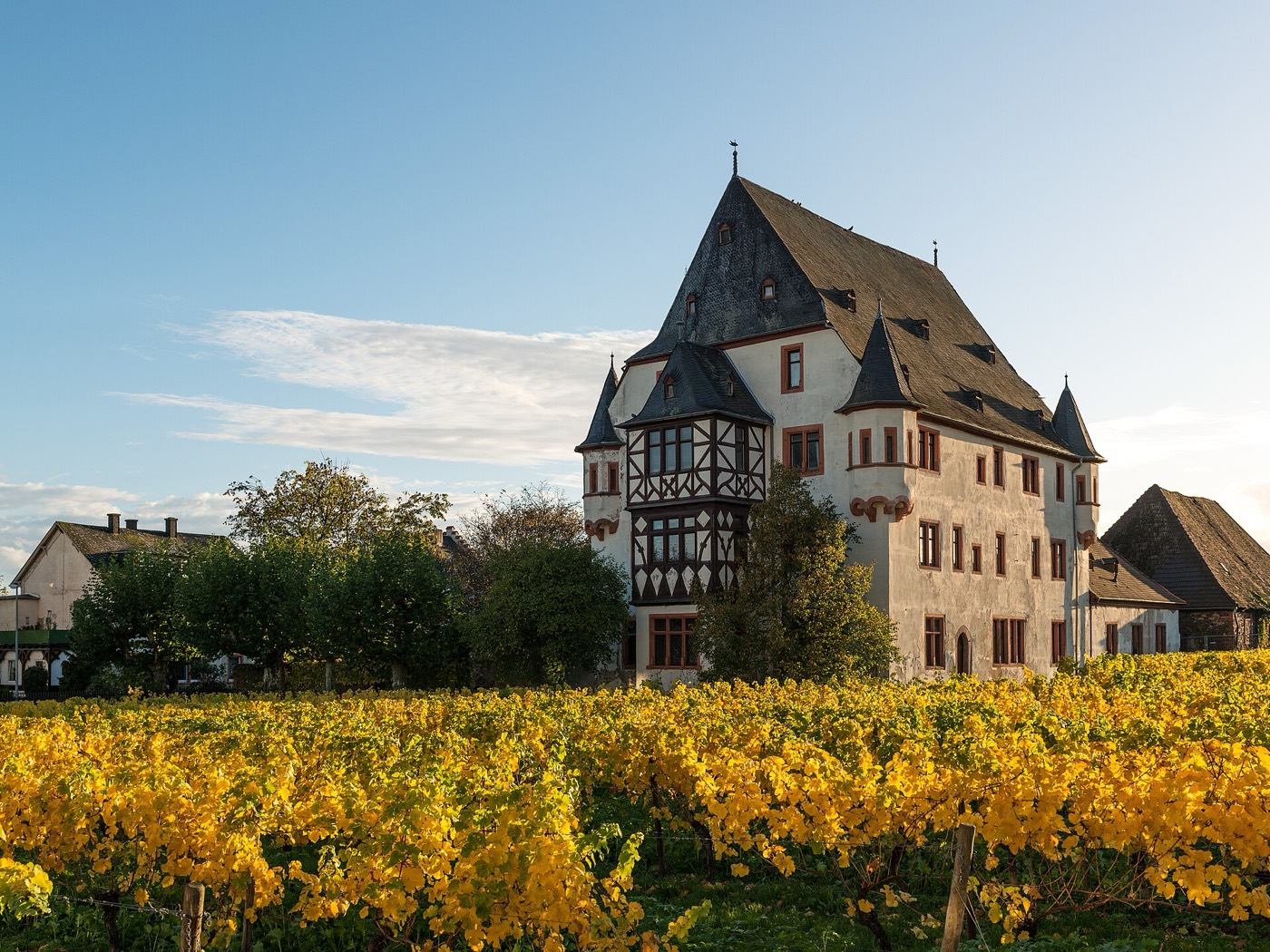 Schloss Schönborn in Geisenheim, Hofseite