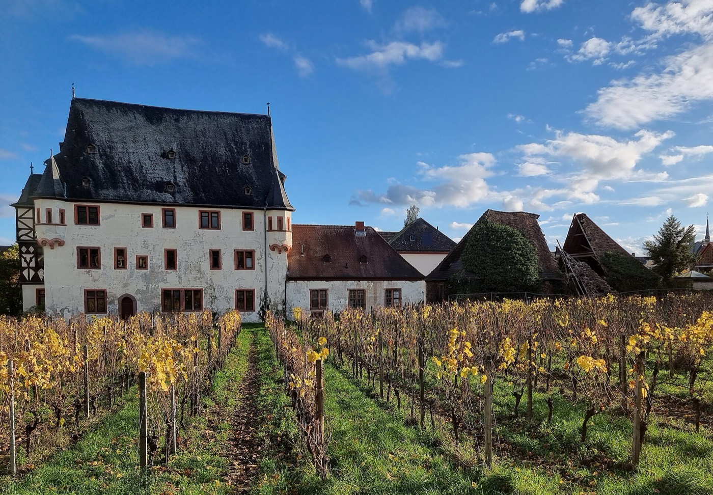Schloss Schönborn in Geisenheim