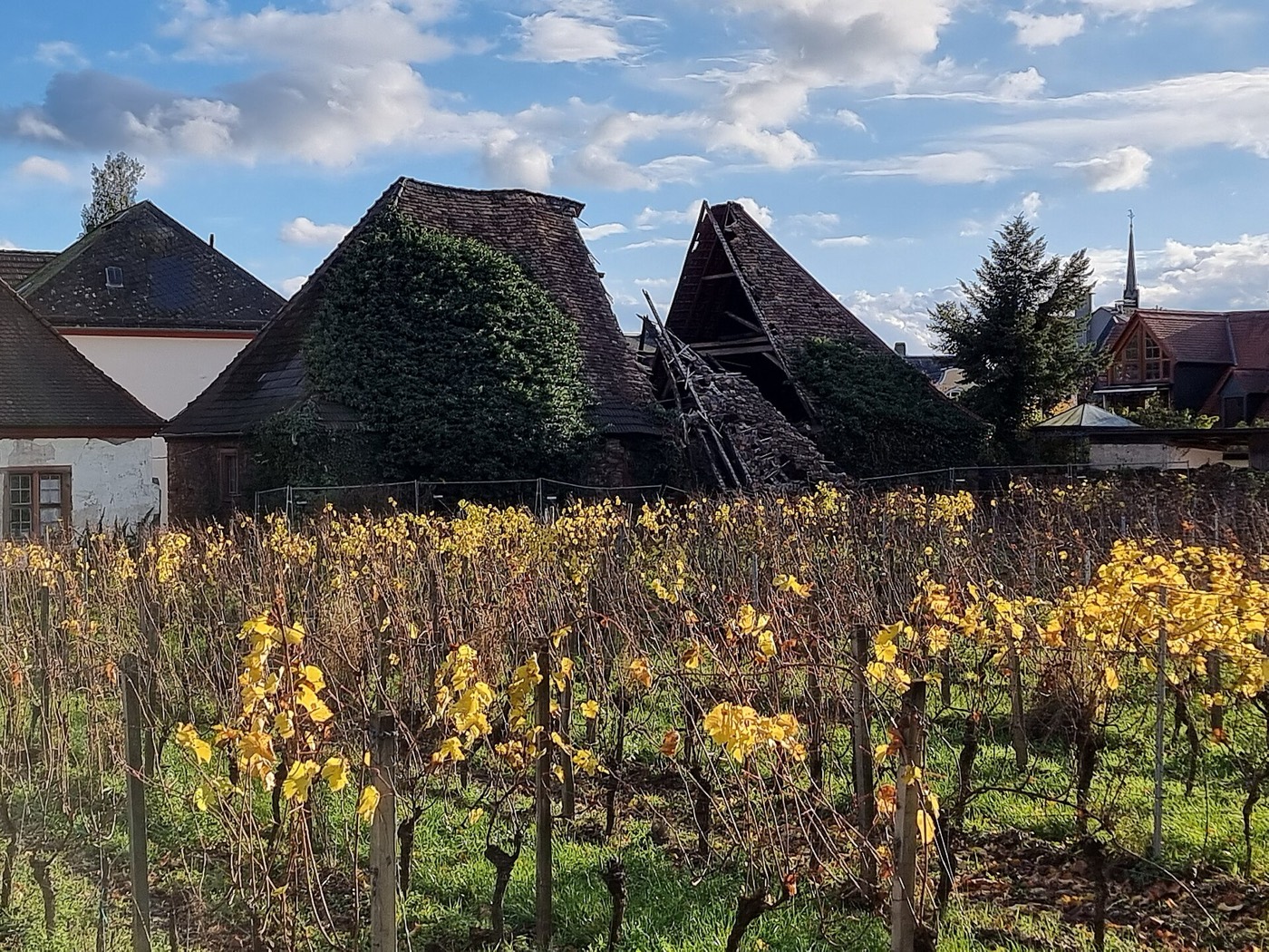 Stallgebäude von Schloss Schönborn in Geisenheim